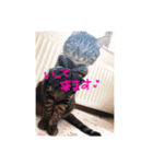 みたそ（個別スタンプ：4）