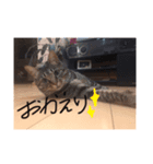 みたそ（個別スタンプ：8）