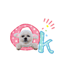 お犬様Dの日常［ほんのり敬語］（個別スタンプ：2）