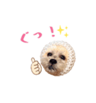 お犬様Dの日常［ほんのり敬語］（個別スタンプ：7）