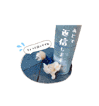 お犬様Dの日常［ほんのり敬語］（個別スタンプ：19）