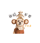 お犬様Dの日常［ほんのり敬語］（個別スタンプ：20）