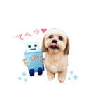 お犬様Dの日常［ほんのり敬語］（個別スタンプ：25）