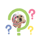 お犬様Dの日常［ほんのり敬語］（個別スタンプ：32）