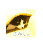 はちわれにゃんこのはち【その2】（個別スタンプ：10）