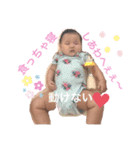 chakomaru sutanpu（個別スタンプ：1）