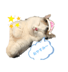 たなかさんちのこ（個別スタンプ：2）