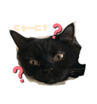 たなかさんちのこ（個別スタンプ：3）