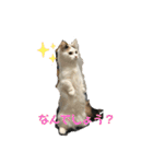 たなかさんちのこ（個別スタンプ：5）
