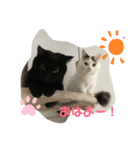 たなかさんちのこ（個別スタンプ：6）