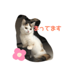 たなかさんちのこ（個別スタンプ：9）