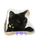 たなかさんちのこ（個別スタンプ：11）