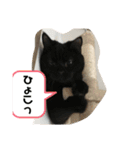 たなかさんちのこ（個別スタンプ：17）