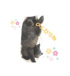 たなかさんちのこ（個別スタンプ：22）