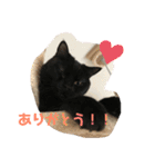 たなかさんちのこ（個別スタンプ：23）