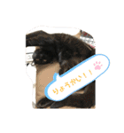 たなかさんちのこ（個別スタンプ：25）