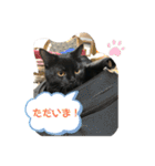 たなかさんちのこ（個別スタンプ：27）