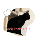 たなかさんちのこ（個別スタンプ：28）