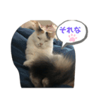 たなかさんちのこ（個別スタンプ：29）