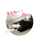 たなかさんちのこ（個別スタンプ：31）