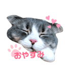あんこだよ（個別スタンプ：1）