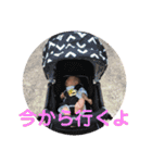 玲生たんスタンプ（個別スタンプ：20）