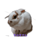ラッキーさんの日常あいさつ（個別スタンプ：8）