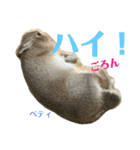 うさぎのベティと弟のウル（個別スタンプ：2）