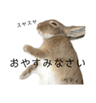 うさぎのベティと弟のウル（個別スタンプ：8）