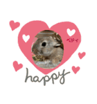 うさぎのベティと弟のウル（個別スタンプ：11）