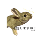 うさぎのベティと弟のウル（個別スタンプ：12）