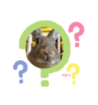 うさぎのベティと弟のウル（個別スタンプ：13）