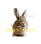 うさぎのベティと弟のウル（個別スタンプ：18）
