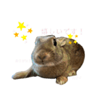 うさぎのベティと弟のウル（個別スタンプ：19）