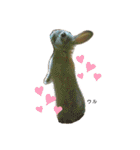 うさぎのベティと弟のウル（個別スタンプ：21）