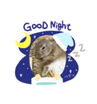 うさぎのベティと弟のウル（個別スタンプ：27）