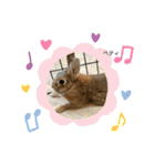 うさぎのベティと弟のウル（個別スタンプ：29）