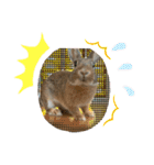 うさぎのベティと弟のウル（個別スタンプ：31）