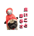 伝助の日常 その2（個別スタンプ：24）