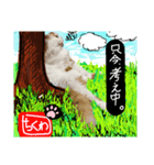 【ちくわ】と【ラテ】（個別スタンプ：1）