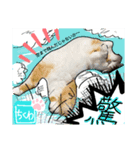 【ちくわ】と【ラテ】（個別スタンプ：3）