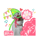 【ちくわ】と【ラテ】（個別スタンプ：5）