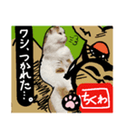 【ちくわ】と【ラテ】（個別スタンプ：7）