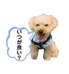ムギのスケジュール（個別スタンプ：1）