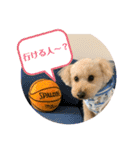 ムギのスケジュール（個別スタンプ：3）