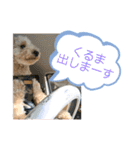 ムギのスケジュール（個別スタンプ：6）