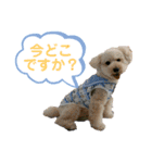 ムギのスケジュール（個別スタンプ：9）