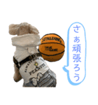 ムギのスケジュール（個別スタンプ：21）