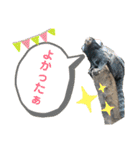 〜愛たっぷりの日常会話〜どうぶつ編③〜（個別スタンプ：5）