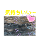 〜愛たっぷりの日常会話〜どうぶつ編③〜（個別スタンプ：11）